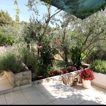 Emily 브로보스카